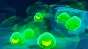 ⭐ Slime Rancher Bundle Pack Steam Key 🔑GLOBAL
