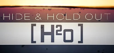 Hide & Hold Out - H2o 🔸 STEAM GIFT ⚡ AUTO 🚀