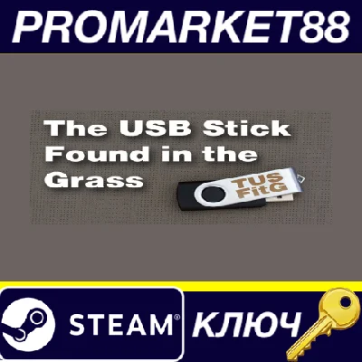 ⭐ The USB Stick Found in the Grass Steam Key 🔑GLOBAL