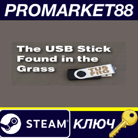 ⭐ The USB Stick Found in the Grass Steam Key 🔑GLOBAL