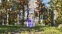 ☑️⭐The Talos Principle: Reawakened XBOX⭐На Ваш акк⭐☑️
