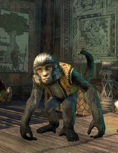 The Elder Scrolls Online 🌌КЛЮЧ🌌Обезьяна питомец