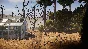 ✅ Into the Dead: Our Darkest Days PC Steam Account +MAI
