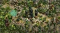 ⭐️ALL COUNTRIES⭐️ Age of Empires  DE The Three Kingdoms