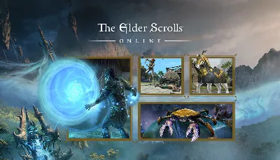 The Elder Scrolls Online - 2025 Premium Edition Steam