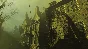 ❗Fallout 4 (PC)❗(PC WIN)🔑КЛЮЧ❗