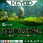 Druidstone: The Secret of the Menhir Forest · Steam Gif