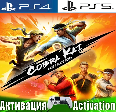 🎮Cobra Kai Collection (PS4/PS5/ENG) Activation ✅