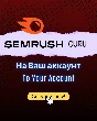 SEMRUSH GURU 1 MONTH | NON SHARED
