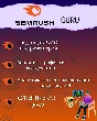 SEMRUSH GURU 1 MONTH | NON SHARED