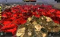 ⭐ STORM: Frontline Nation Steam Key 🔑 GLOBAL