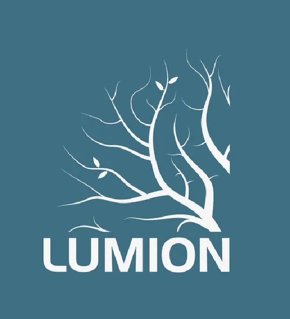 Lumion Pro Edu 1 year 1 user