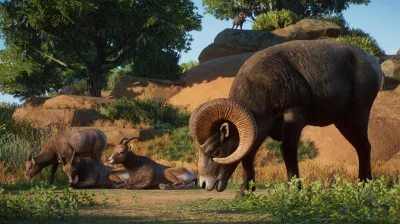 Planet Zoo: Americas Animal Pack STEAM DLC