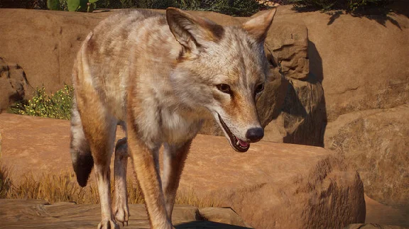 Planet Zoo: Americas Animal Pack STEAM DLC