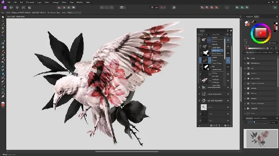 Affinity Photo 2 Windows PC Microsoft Store