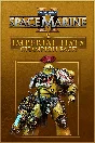 Warhammer 40,000 Space Marine 2 Imperial Fists Champion