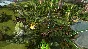 ⭐ Endless Legend - Guardians Expansion Pack EU Steam КЛ