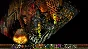 ⭐ Planescape: Torment and Icewind Dale: Enhanced Editio