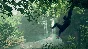RU➕CIS💎STEAM | Ancestors: The Humankind Odyssey 🐒