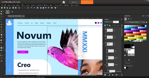 ✅1 year subscription Corel PaintShop Pro Microsoft PC
