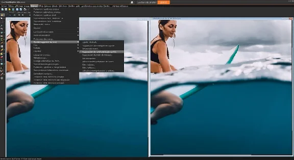 ✅1 year subscription Corel PaintShop Pro Microsoft PC