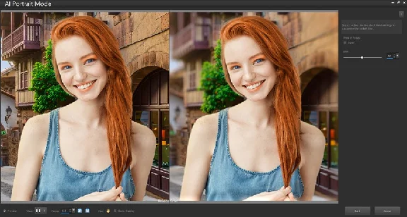 ✅1 year subscription Corel PaintShop Pro Microsoft PC