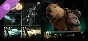 Last Epoch - Woven Traveler Supporter Pack 💎 DLC STEAM