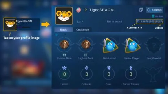 ⚡MOBILE LEGENDS BANG BANG TWILIGHT PASS + DIAMONDS ID⚡