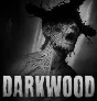Darkwood ✅ (Epic Games Account)
