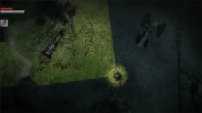 Darkwood ✅ (Epic Games Account)