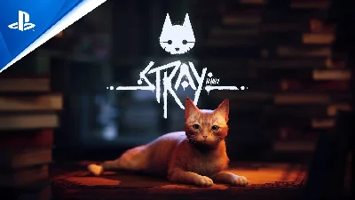 Stray USA PS4✅