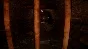 🚀 Evil Lurks Below 🤖 Steam Gift RU + other ⚡ AUTO