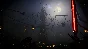 🚀 Tainted Grail: The Fall of Avalon 🤖 Steam Gift AUTO