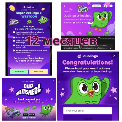 DUOLINGO SUPER 1 YEAR | TO YOUR ACCOUNT