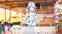 🚀 Love Curse: Find Your Soulmate 🤖 Steam Gift AUTO