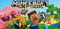 MINECRAFT 🔴 Java + Bedrock 🔴 Полный доступ 💥 ПК