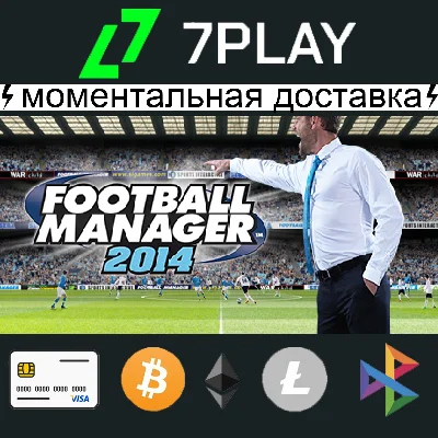 Football Manager 2014 - Steam Account [24/7]