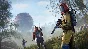 Rust ✅ STEAM ✅ АВТО 🌍 RU/UA/KZ/СНГ