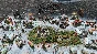 Age of Mythology: Retold Standard Edition ✅ STEAM