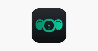 🐒 4ebur VPN 🐒 PREMIUM КЛЮЧ 🐒 ДО 27/06/2025 🐒