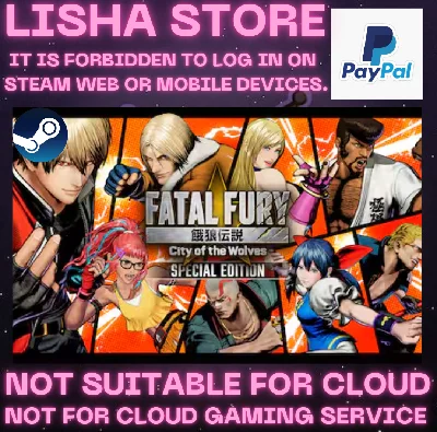 FATAL FURY City of the Wolves Special Steam Paypal