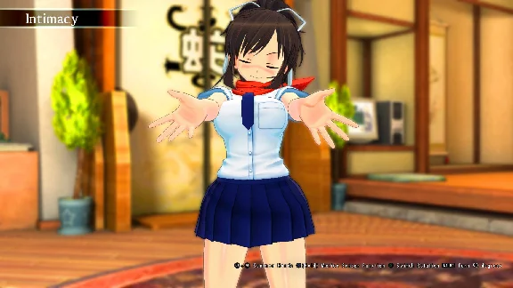 ⭐ SENRAN KAGURA Burst Re:Newal Steam Key 🔑GLOBAL (NO T