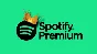 🔥3/6/12 MONTHS SPOTIFY PREMIUM GLOBAL🔥 FAST🚀