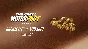 ⭐ The Crew Motorfest VC Bronze Pack - 100,000 Crew Cred