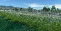 🛫 SECA Catamayo Airport by EcuaVirtual3D | MSFS