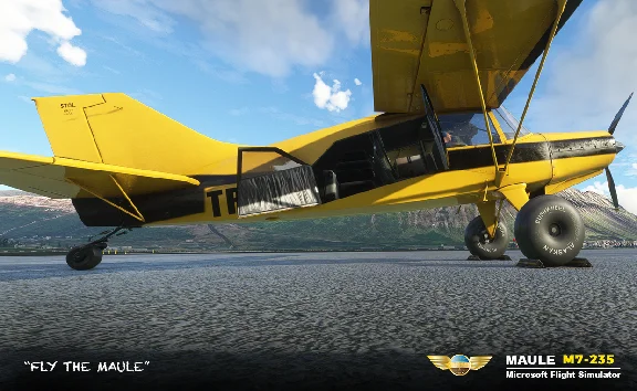 ✈️ Maule M7-235 | MSFS 20/24
