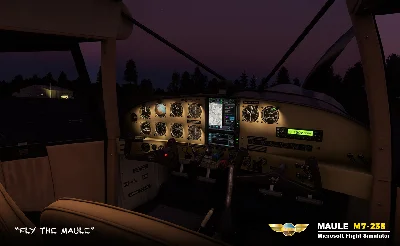 ✈️ Maule M7-235 | MSFS 20/24