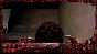 🚀 Navicula Meatus 🤖 Steam Gift RU + other ⚡ AUTO