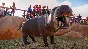 Planet Zoo Deluxe Edition Upgrade Pack DLC ✅ STEAM