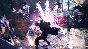 Devil May Cry 5 + Vergil*STEAM*AUTO*RU/UA/KZ/CIS